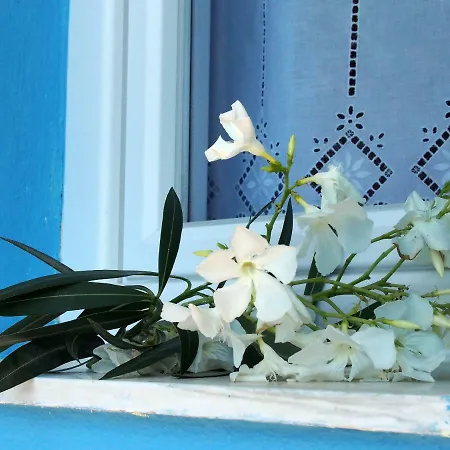 Olive Grove Apartament