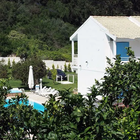 Olive Grove