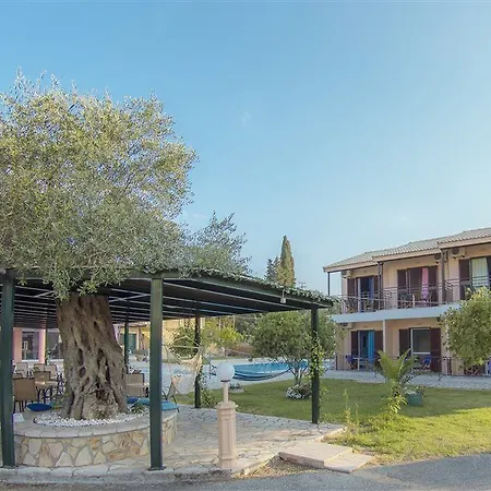 Olive Grove Kávos