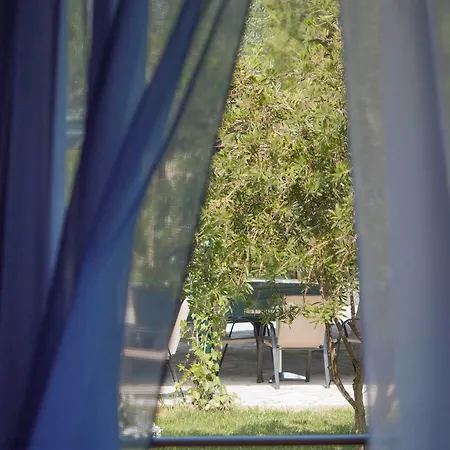 Olive Grove * Kávos