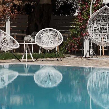 Olive Grove * Kávos