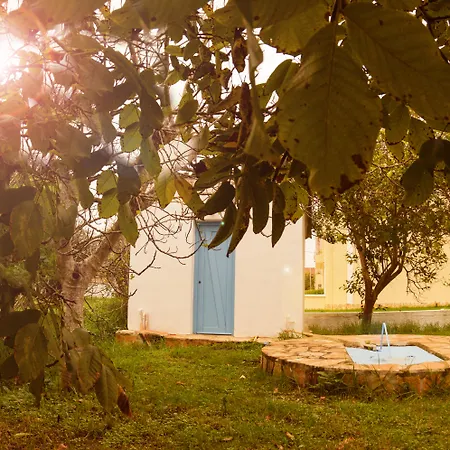 Appartement Olive Grove Kávos