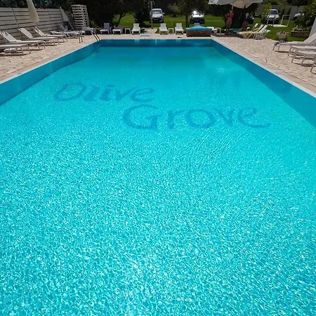 Olive Grove Apartment Kavos