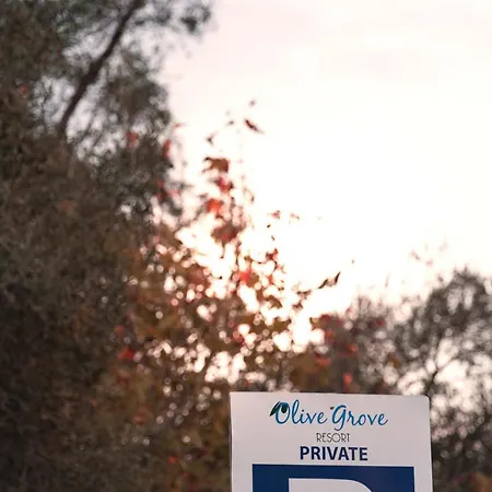 아파트 Olive Grove 카보스