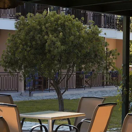 Olive Grove Kavos