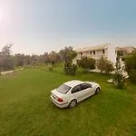 Olive Grove * קאבוס