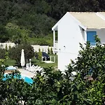 Olive Grove