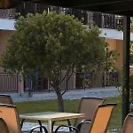 Olive Grove קאבוס