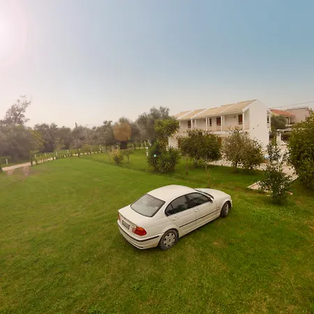 Olive Grove * カボス